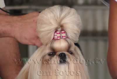 Clique sobre a foto para fechar